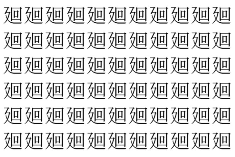 【脳トレ】「廻」の中に紛れて1つ違う文字がある！？あなたは何秒で探し出せるかな？？【違う文字を探せ！】