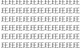 【脳トレ】「玨」の中に紛れて1つ違う文字がある！？あなたは何秒で探し出せるかな？？【違う文字を探せ！】