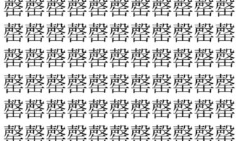 【脳トレ】「罄」の中に紛れて1つ違う文字がある！？あなたは何秒で探し出せるかな？？【違う文字を探せ！】