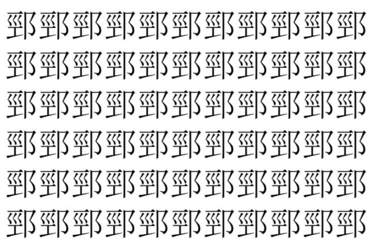 【脳トレ】「䣆」の中に紛れて1つ違う文字がある！？あなたは何秒で探し出せるかな？？【違う文字を探せ！】
