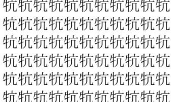 【脳トレ】「牨」の中に紛れて1つ違う文字がある！？あなたは何秒で探し出せるかな？？【違う文字を探せ！】