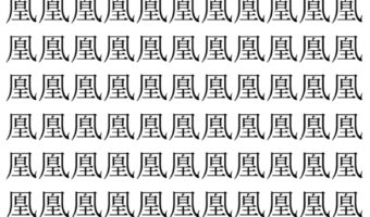 【脳トレ】「凰」の中に紛れて1つ違う文字がある！？あなたは何秒で探し出せるかな？？【違う文字を探せ！】