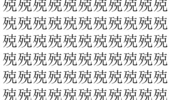 【脳トレ】「殑」の中に紛れて1つ違う文字がある！？あなたは何秒で探し出せるかな？？【違う文字を探せ！】
