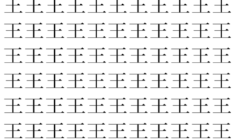 【脳トレ】「王」の中に紛れて1つ違う文字がある！？あなたは何秒で探し出せるかな？？【違う文字を探せ！】