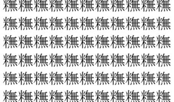 【脳トレ】「𥼣」の中に紛れて1つ違う文字がある！？あなたは何秒で探し出せるかな？？【違う文字を探せ！】
