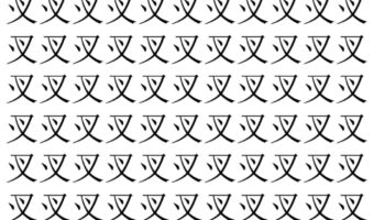 【脳トレ】「㕚」の中に紛れて1つ違う文字がある！？あなたは何秒で探し出せるかな？？【違う文字を探せ！】
