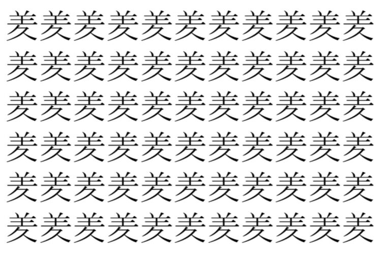 【脳トレ】「羑」の中に紛れて1つ違う文字がある！？あなたは何秒で探し出せるかな？？【違う文字を探せ！】