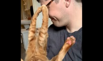 パパさんにおててを伸ばすネコ。その目当ては・・メガネ！【アメリカ・動画】