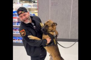 キリっとお仕事中の警備犬が突然大はしゃぎ！目の前に大好きな人が立っていて我慢できない！！【アメリカ・動画】