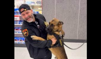 キリっとお仕事中の警備犬が突然大はしゃぎ！目の前に大好きな人が立っていて我慢できない！！【アメリカ・動画】