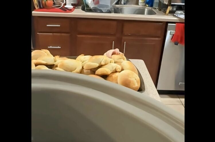 小さなおててがぴょこ！トレーの上のパンをこっそり取っていった子がいたぞ！！【アメリカ・動画】