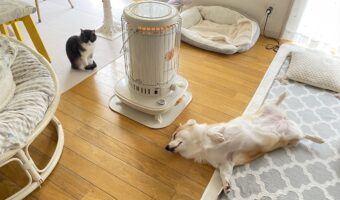 ストーブ前に集まるネコとコーギー。その暖まり方の違いが話題に「同じモフモフ族でも違いがあって興味深い」