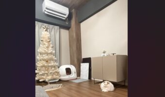 床でまんまるになって座っているネコ。実は暖かい所をしっかり理解している姿が話題に「おりこうさん」「いちばんいい所に陣取る」