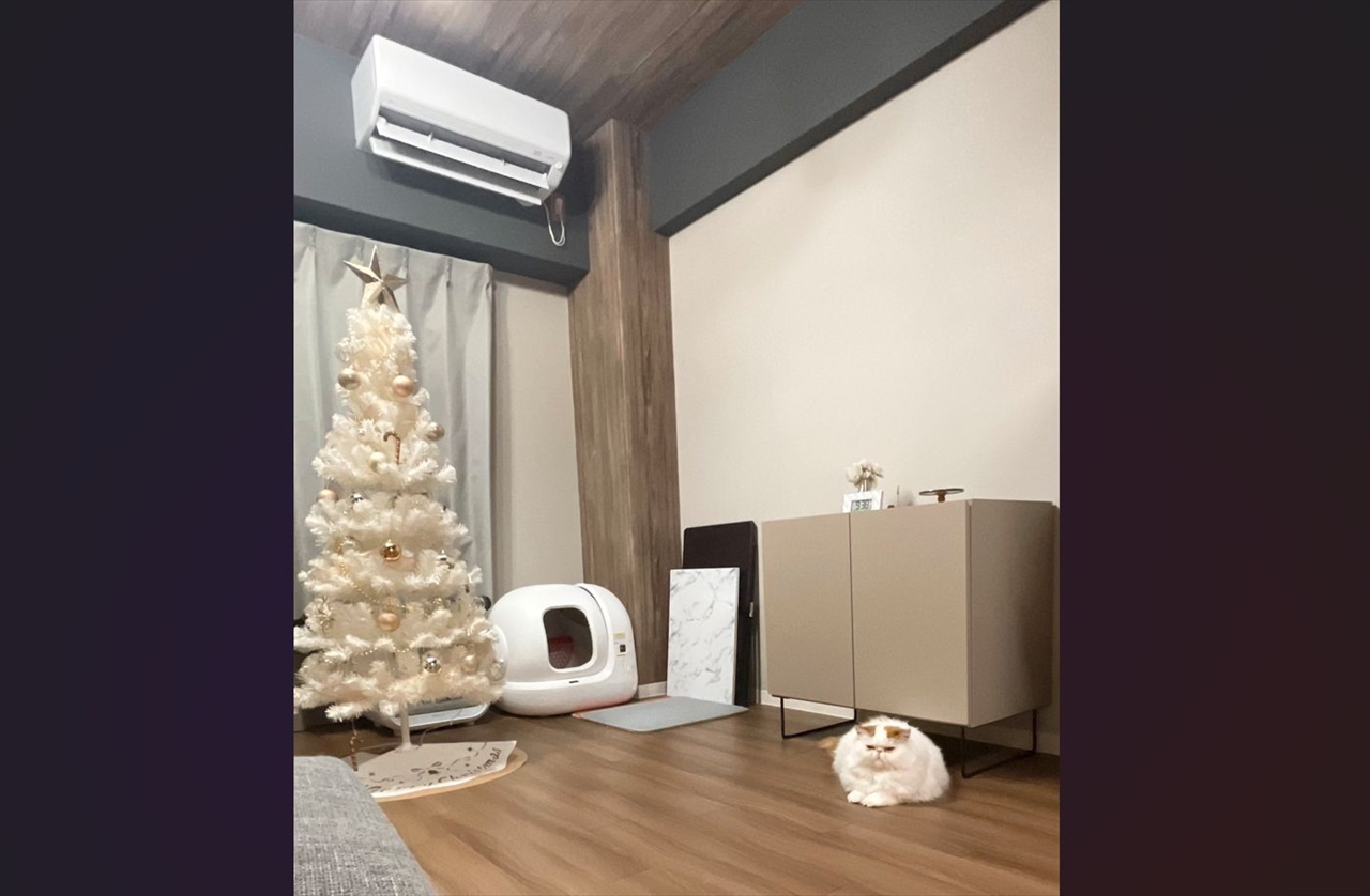 床でまんまるになって座っているネコ。実は暖かい所をしっかり理解している姿が話題に「おりこうさん」「いちばんいい所に陣取る」