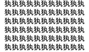 【脳トレ】「犱」の中に紛れて1つ違う文字がある！？あなたは何秒で探し出せるかな？？【違う文字を探せ！】