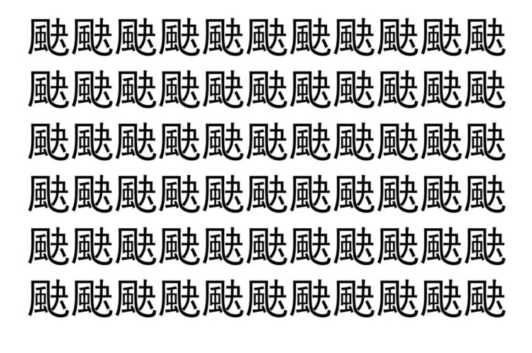 【脳トレ】「䫼」の中に紛れて1つ違う文字がある！？あなたは何秒で探し出せるかな？？【違う文字を探せ！】