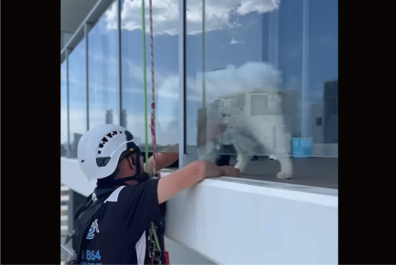 掃除中なのに作業の手が止まっている高所清掃作業員。中断していた理由は、ガラスの向こうに！！【海外・動画】