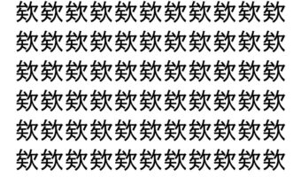 【脳トレ】「欸」の中に紛れて1つ違う文字がある！？あなたは何秒で探し出せるかな？？【違う文字を探せ！】