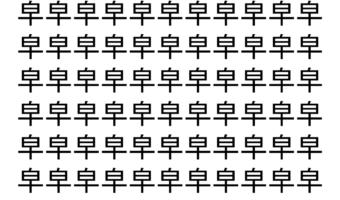 【脳トレ】「皁」の中に紛れて1つ違う文字がある！？あなたは何秒で探し出せるかな？？【違う文字を探せ！】