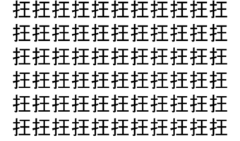 【脳トレ】「抂」の中に紛れて1つ違う文字がある！？あなたは何秒で探し出せるかな？？【違う文字を探せ！】
