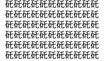 【脳トレ】「矺」の中に紛れて1つ違う文字がある！？あなたは何秒で探し出せるかな？？【違う文字を探せ！】