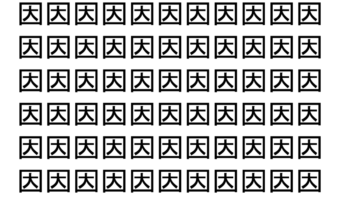 【脳トレ】「因」の中に紛れて1つ違う文字がある！？あなたは何秒で探し出せるかな？？【違う文字を探せ！】