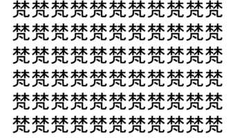 【脳トレ】「梵」の中に紛れて1つ違う文字がある！？あなたは何秒で探し出せるかな？？【違う文字を探せ！】