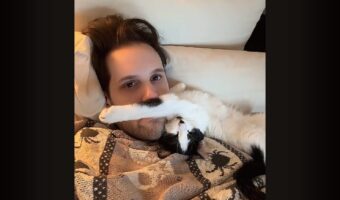 逆腕枕！？ネコのおててが飼い主さんの口元を塞いじゃって・・眠れない！？【アメリカ・動画】