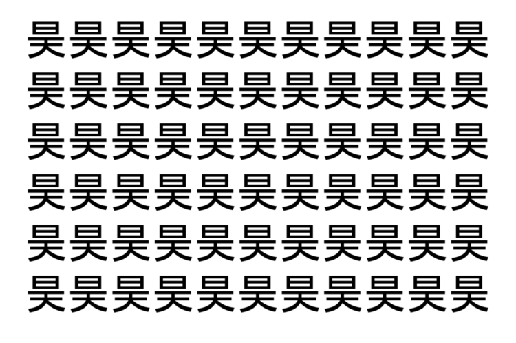 【脳トレ】「昊」の中に紛れて1つ違う文字がある！？あなたは何秒で探し出せるかな？？【違う文字を探せ！】