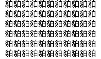 【脳トレ】「貃」の中に紛れて1つ違う文字がある！？あなたは何秒で探し出せるかな？？【違う文字を探せ！】