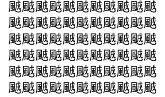 【脳トレ】「䬄」の中に紛れて1つ違う文字がある！？あなたは何秒で探し出せるかな？？【違う文字を探せ！】