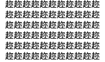 【脳トレ】「趂」の中に紛れて1つ違う文字がある！？あなたは何秒で探し出せるかな？？【違う文字を探せ！】