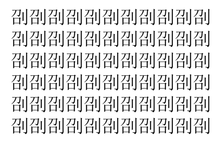 【脳トレ】「刟」の中に紛れて1つ違う文字がある！？あなたは何秒で探し出せるかな？？【違う文字を探せ！】