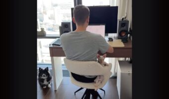 パパさんが仕事中でも隣は譲らニャい！イスのわずかなスペースを陣取るネコ【海外・動画】