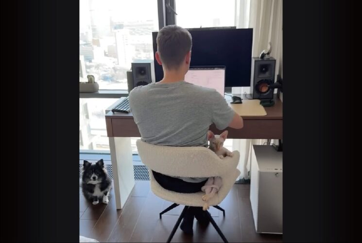 パパさんが仕事中でも隣は譲らニャい！イスのわずかなスペースを陣取るネコ【海外・動画】