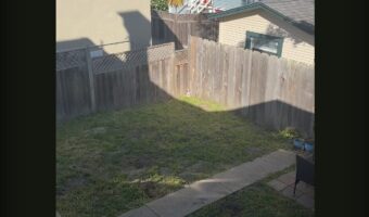 どこにいるか分かりますか？わずかでも日光を求めてひなたぼっこをするチワワ【アメリカ・動画】