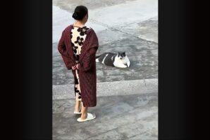 どっこいしょ。ごろりと寝転がる大きなネコが・・ママさんに抱きかかえられて運ばれていく～【海外・動画】