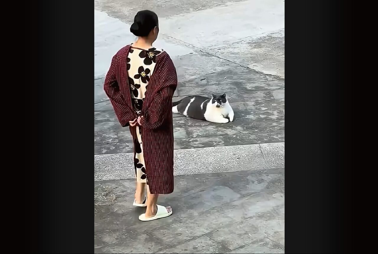 どっこいしょ。ごろりと寝転がる大きなネコが・・ママさんに抱きかかえられて運ばれていく～【海外・動画】