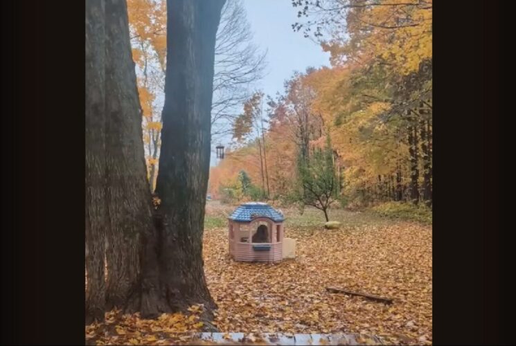 雨が降っても・・。グレート・ピレニーズは雨宿りに大成功！！【海外・動画】
