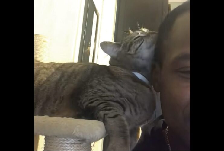 パパさんの頭にスリスリ！ネコの愛情表現がかわいすぎる！！【アメリカ・動画】