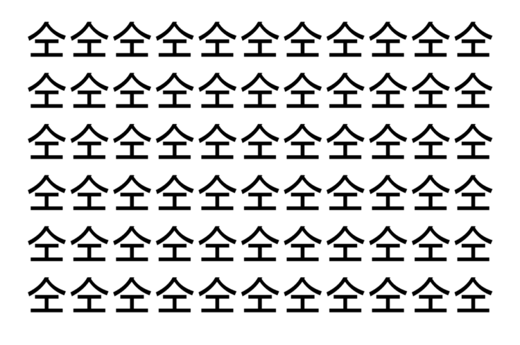 【脳トレ】「仝」の中に紛れて1つ違う文字がある！？あなたは何秒で探し出せるかな？？【違う文字を探せ！】