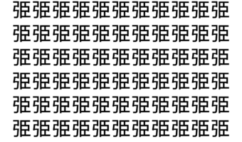 【脳トレ】「弫」の中に紛れて1つ違う文字がある！？あなたは何秒で探し出せるかな？？【違う文字を探せ！】
