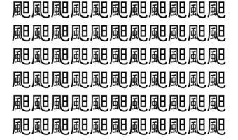 【脳トレ】「䫻」の中に紛れて1つ違う文字がある！？あなたは何秒で探し出せるかな？？【違う文字を探せ！】