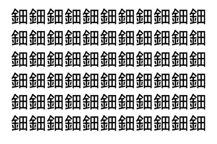 【脳トレ】「鈿」の中に紛れて1つ違う文字がある！？あなたは何秒で探し出せるかな？？【違う文字を探せ！】