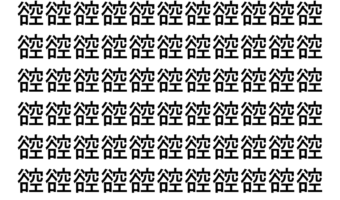 【脳トレ】「谾」の中に紛れて1つ違う文字がある！？あなたは何秒で探し出せるかな？？【違う文字を探せ！】