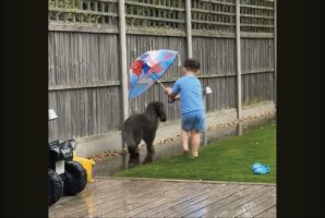 心優しい男の子。庭で傘を差しているのは・・愛犬が濡れないようにしたいから！！【海外・動画】