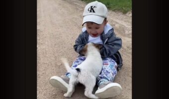 男の子にじゃれつく子犬。はじめましてには見えない仲良しっぷりにほっこり【海外・動画】