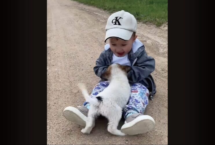 男の子にじゃれつく子犬。はじめましてには見えない仲良しっぷりにほっこり【海外・動画】