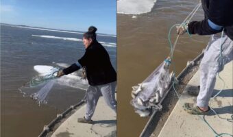投網を海に向けて無造作に放った女性。すぐさま引き上げると・・まさかの大漁！？【アメリカ・動画】