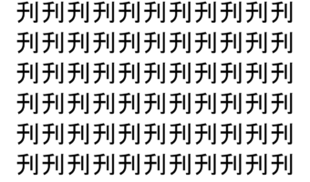 【脳トレ】「刋」の中に紛れて1つ違う文字がある！？あなたは何秒で探し出せるかな？？【違う文字を探せ！】